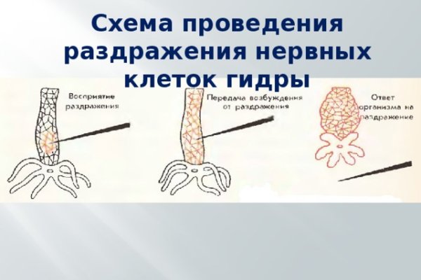 Ссылки тор браузер